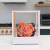 Lykyn Smart Mushroom Grow Box