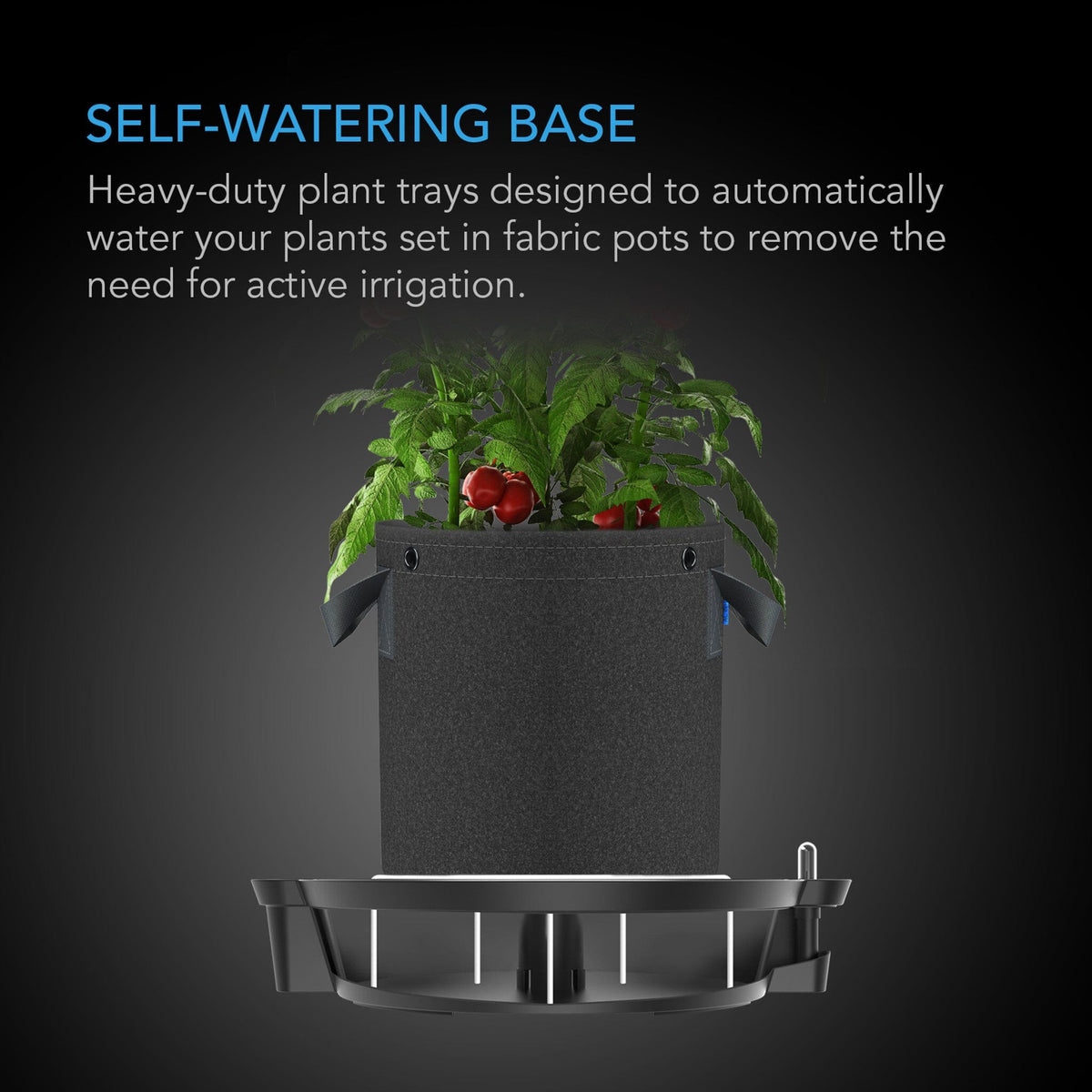 Self-watering base for fabric pots