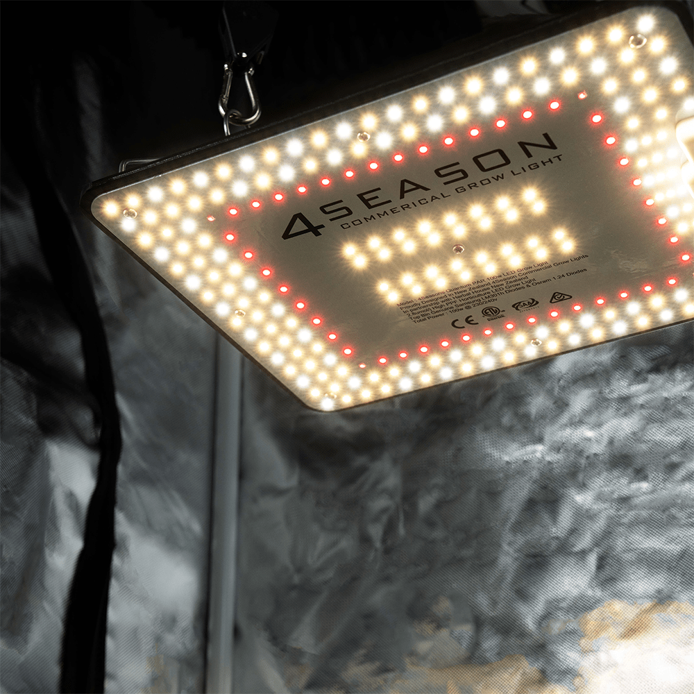 4Seasons 100w Quantum Par - Quick Bloom Lights