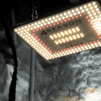 4Seasons 100w Quantum Par - Quick Bloom Lights