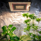 4Seasons 100w Quantum Par - Quick Bloom Lights