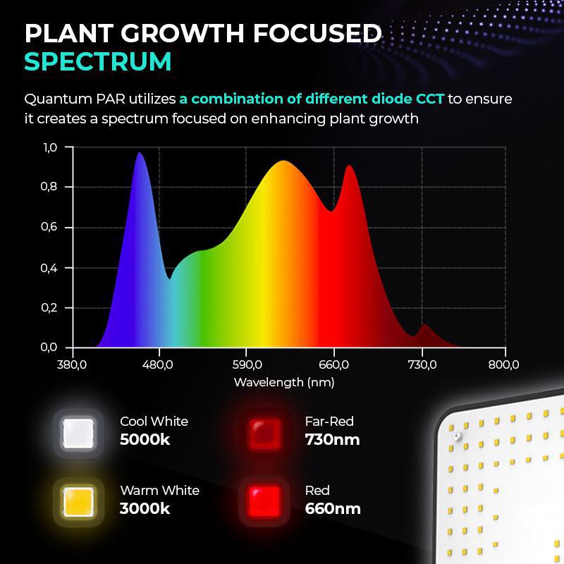 4Seasons 100w Quantum Par - Quick Bloom Lights
