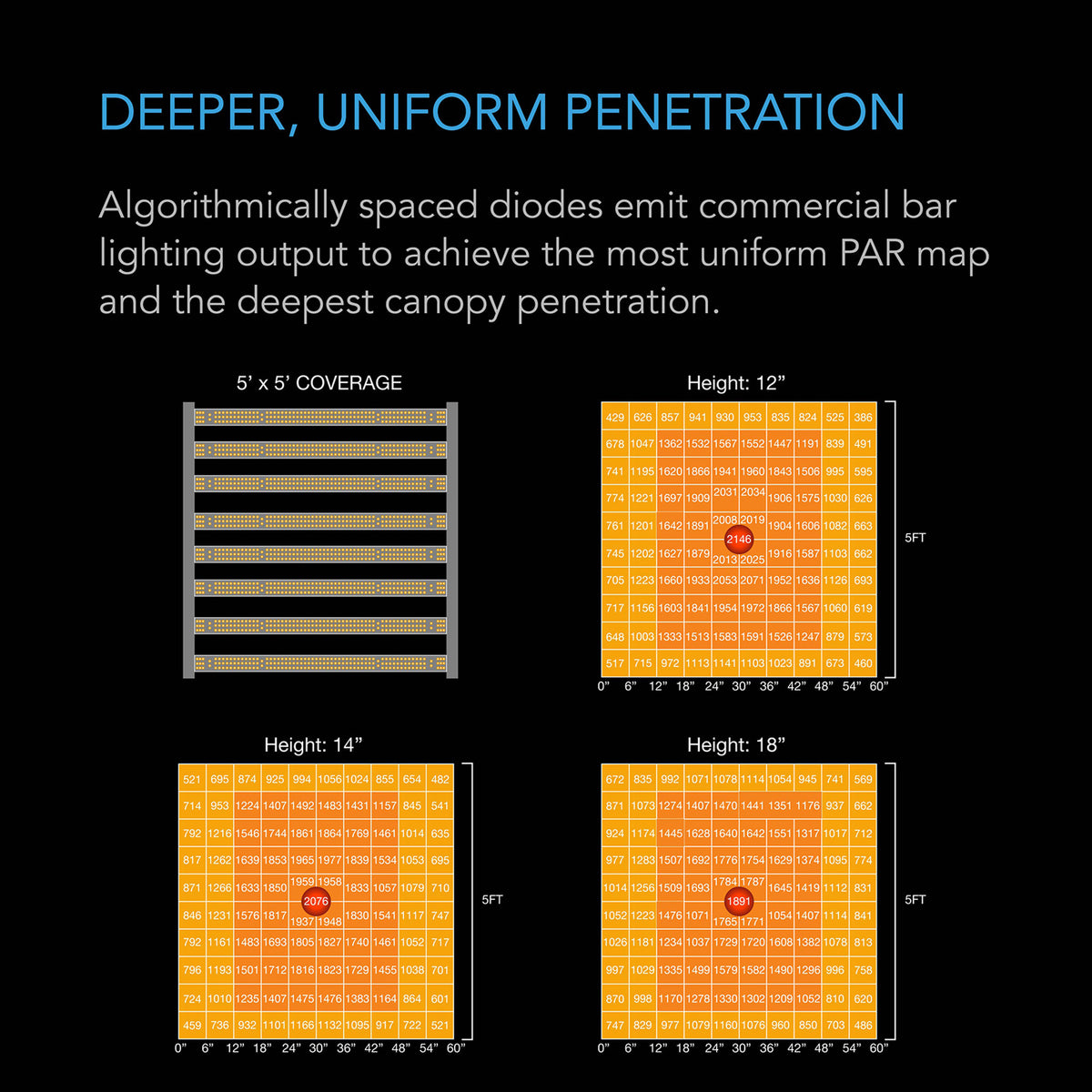 Deeper. uniform penetration with Evo 10