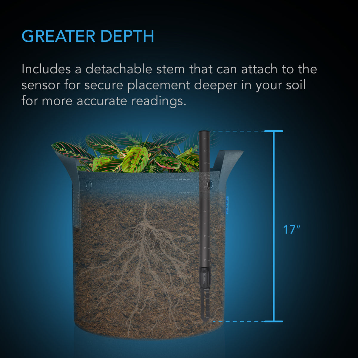 Greater depth stem for secure placement