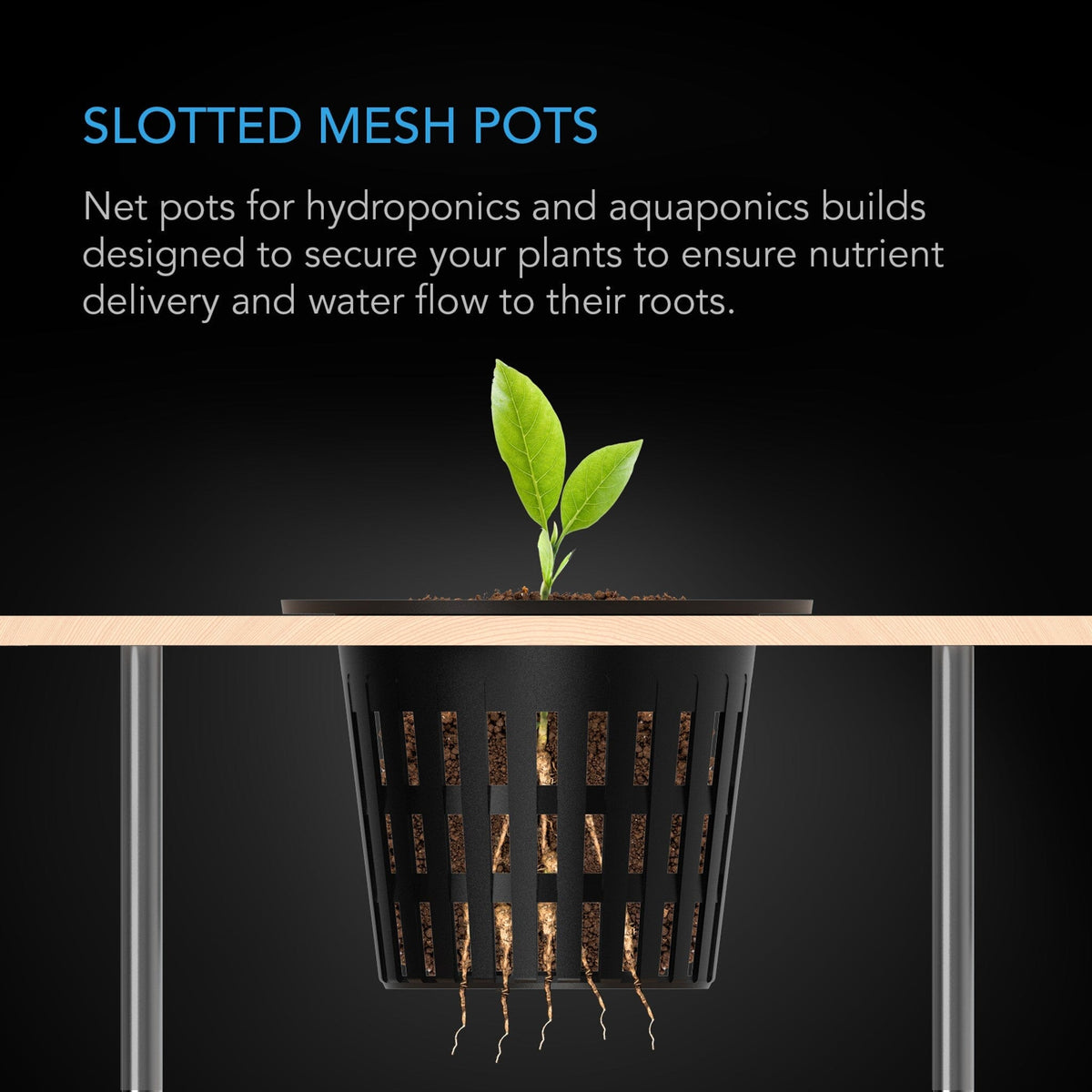 Slotted Mesh pots