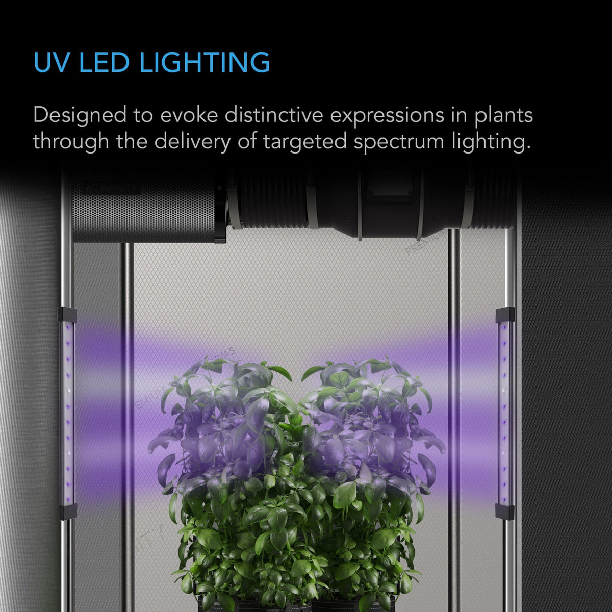 UVA LED LIGHTING