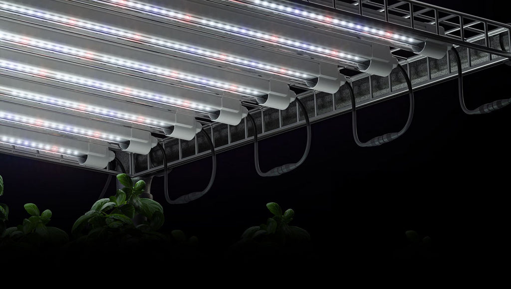 Digi-Lumen clone bars mounted over a propagation tray