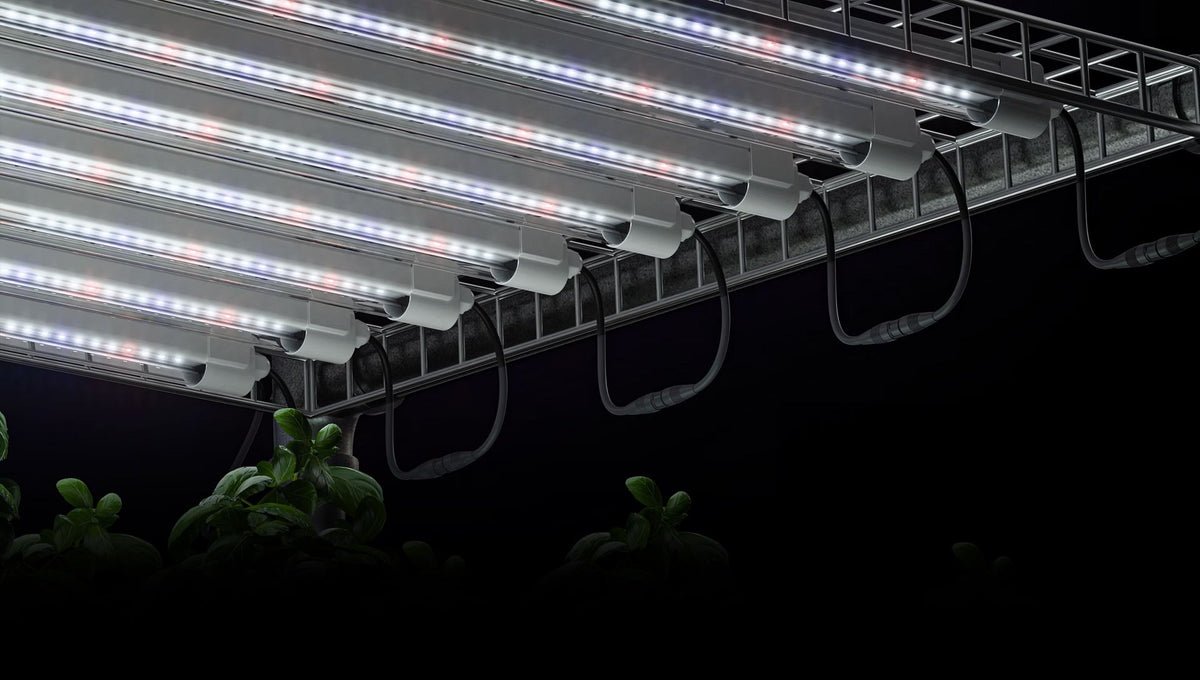 Digi-Lumen clone bars mounted over a propagation tray