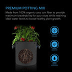 Coco Coir, Instant Potting Mix, 0.91 kg - Quick Bloom Lights