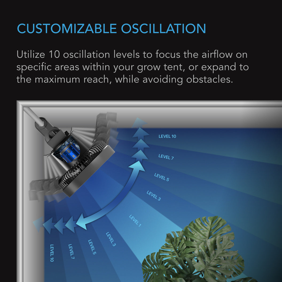 Customisable Oscillation