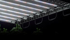 Digi-Lumen Clone Bar 18W 610mm | 6500K Propagation LED | 2 Pack - Quick Bloom Lights