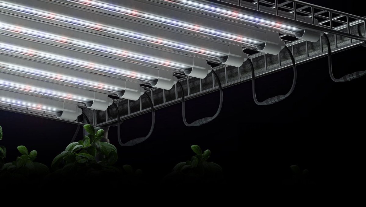 Digi-Lumen Clone Bar 18W 610mm | 6500K Propagation LED | 2 Pack - Quick Bloom Lights