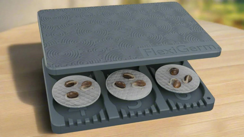 FlexiGerm - By Seed Starter - Quick Bloom Lights