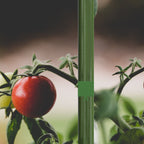 Green Twist Ties with Built - In Cutter, 100 m - AC Infinity - Quick Bloom Lights