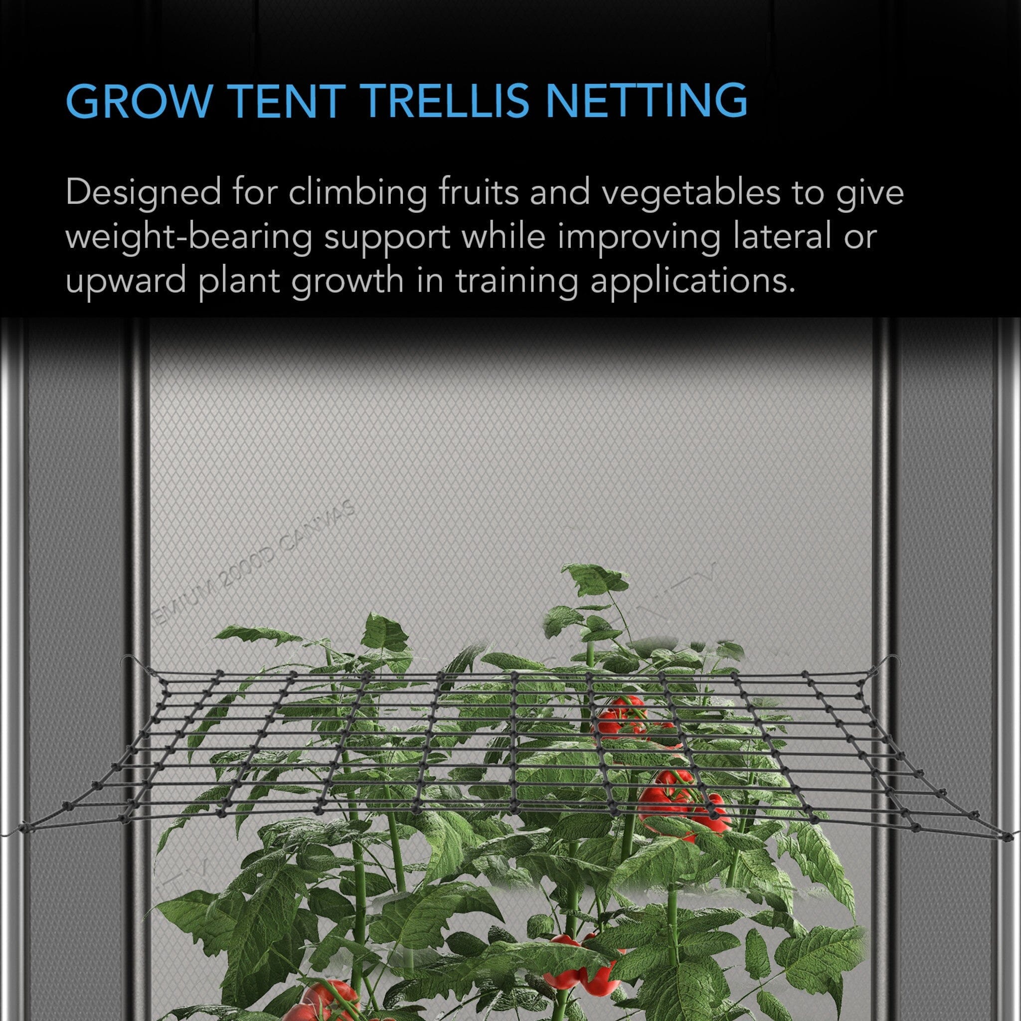 Grow Tent Trellis Netting, Flexible Elastic Cords, 2x2 Feet - Quick Bloom Lights