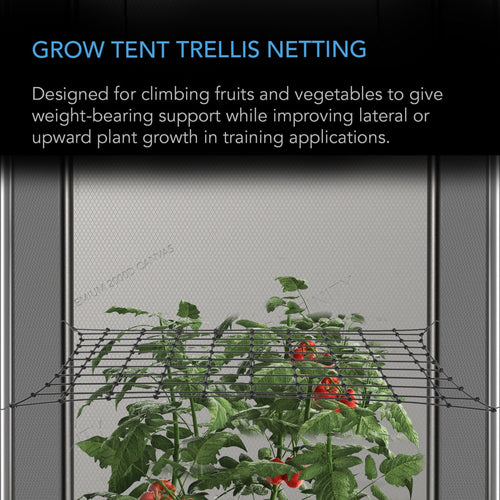 Grow Tent Trellis Netting, Flexible Elastic Cords, 4x4 Feet - Quick Bloom Lights