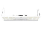 HLG 350 Diablo w. Reflectors - Quick Bloom Lights