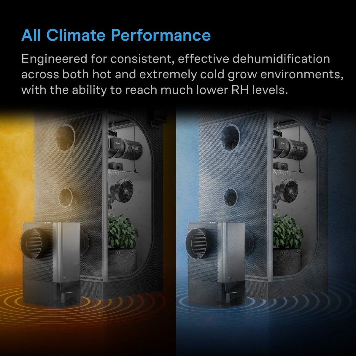 Hydrone 5, Plant Dehumidifier by AC Infinity / 10 - Level PWM, Dual Duct, VPD Control - Quick Bloom Lights