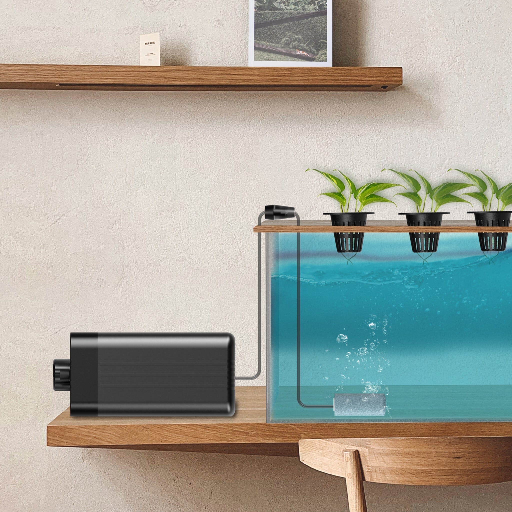 Hydroponics Air Pump, One Outlet Pumping Kit, 24 GPH (1.5 L/M) - Quick Bloom Lights