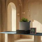 Instant Potting Mix Kit, 2 - Plant Starter Set - Quick Bloom Lights