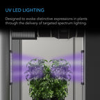 Ionbeam U2, Targeted Spectrum UV LED Grow Light Bars, 2 - Bar Kit 11 inch / 28 cm - Quick Bloom Lights