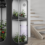 Ionbeam U2, Targeted Spectrum UV LED Grow Light Bars, 2 - Bar Kit 11 inch / 28 cm - Quick Bloom Lights