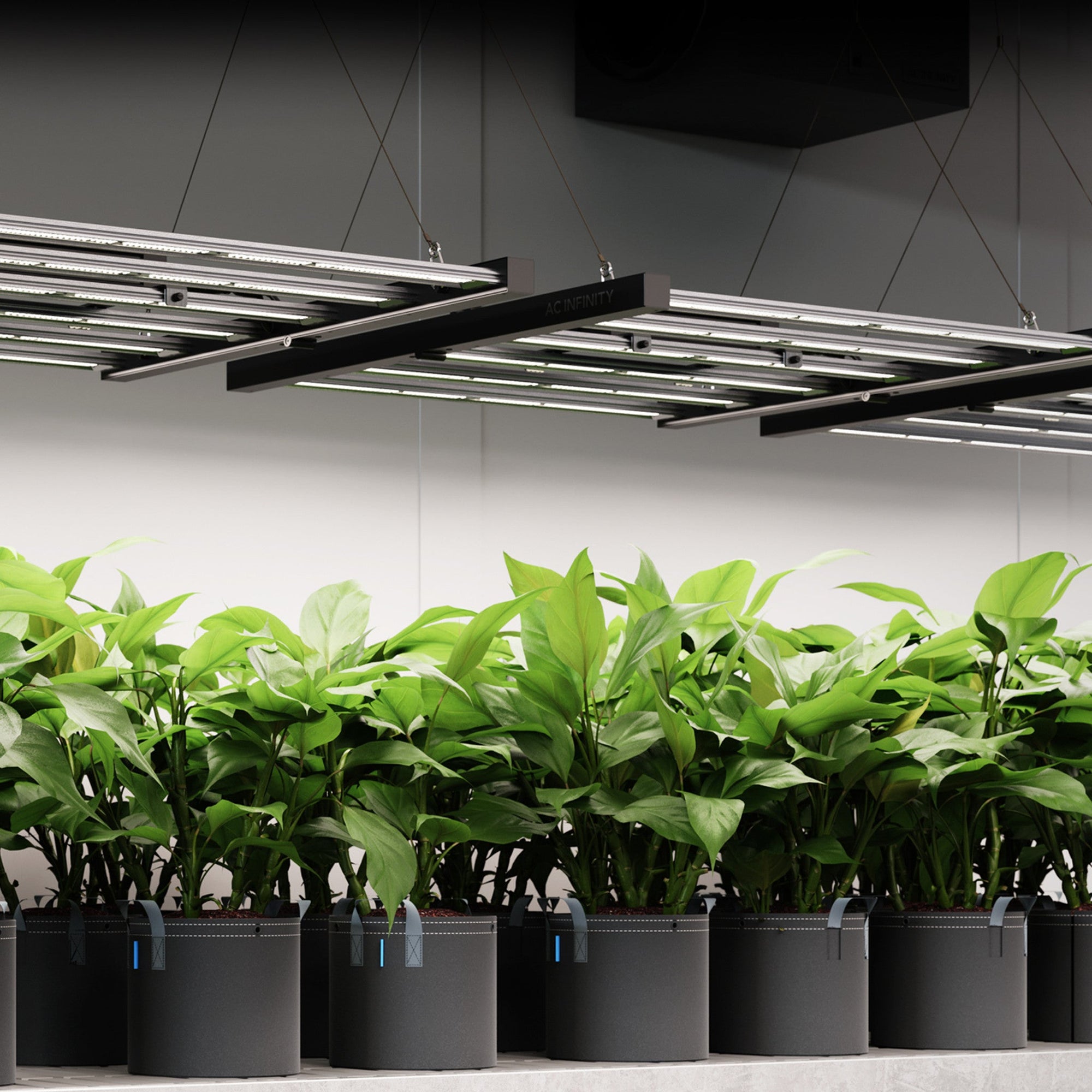 Ionframe EVO10, Samsung LM301H EVO 1000 Watt, 5x5 Ft or 150x150 cm Veg - Flower - Quick Bloom Lights