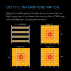 Ionframe EVO4, Samsung LM301H EVO 300 Watt, 3x3 Ft or 90x90 cm Veg - Flower - Quick Bloom Lights