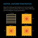 Ionframe EVO6, Samsung LM301H EVO 500 Watt, 4x4 Ft or 120x120 cm Flower - Quick Bloom Lights