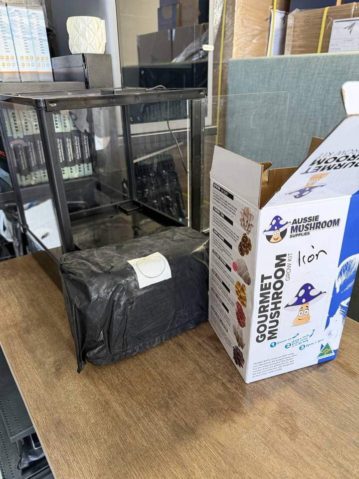 Aussie Mushroom Supplies Lion's Mane kit box, block bag and Lykyn grow box on day 0