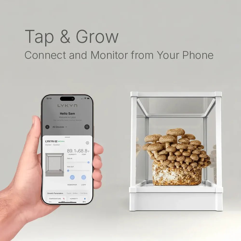 Lykyn Smart Mushroom Grow Box — Single Layer - PRE ORDER ONLY - Quick Bloom Lights