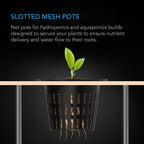 Mesh Net Cups, Slotted pots with wide lips, 2 - Inch, 50 Pack - Quick Bloom Lights