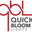 Quick Bloom Lights logo