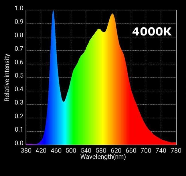 HLG 300 4000K option