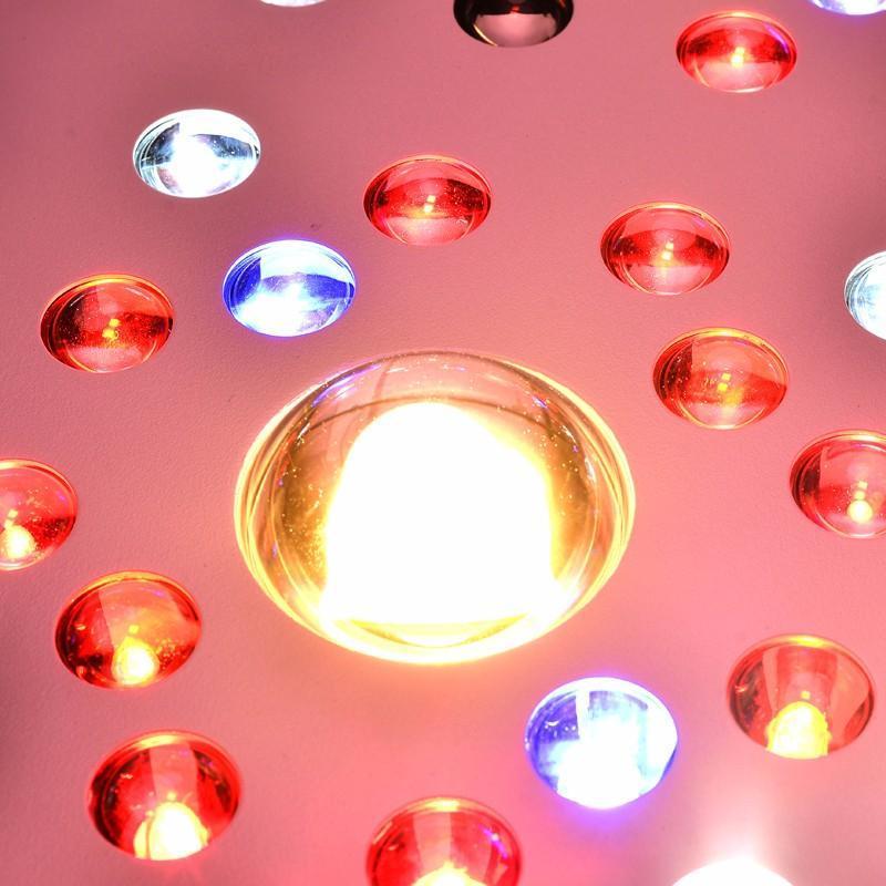 OPTIC 6 COB LED Grow Light
