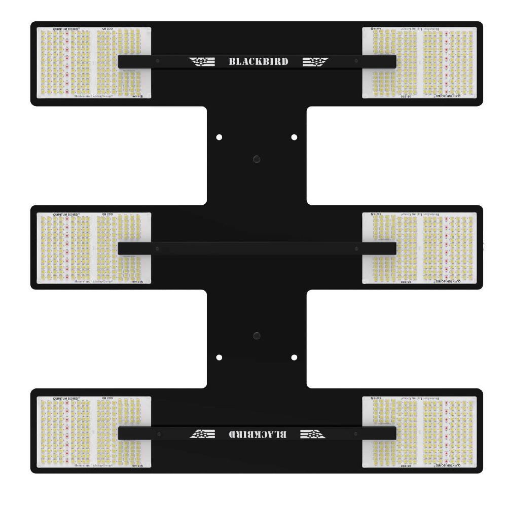 HLG Blackbird 600 watt