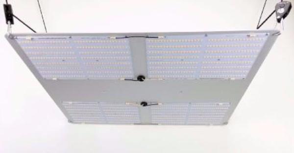 HLG 550 LED Grow Light Hanging 