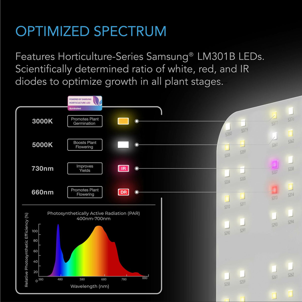 Ionboard S24 Optimized Spectrum