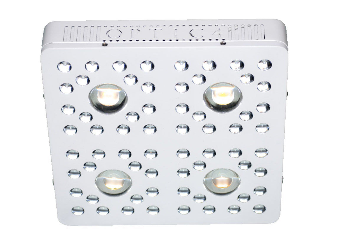 Optic 4 Cob LED