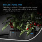 Heavy Duty Fabric Pots, 3 Gallon pots in a 5 pack by AC Infinity - Quick Bloom Lights
