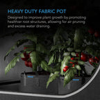 Heavy Duty Fabric Pots, 7 Gallon pots in a 5 pack by AC Infinity - Quick Bloom Lights