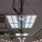 HLG 30 UVA Supplement Light - Quick Bloom Lights