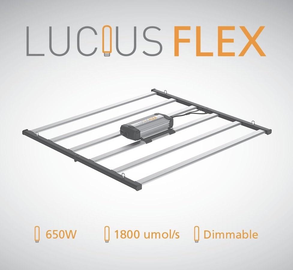 Lucius Flex 650 watt dimmable 