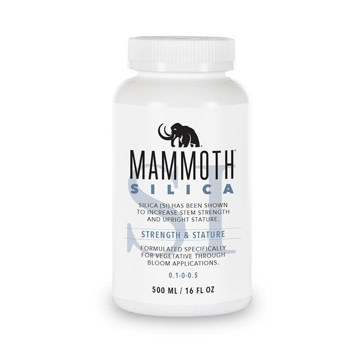 Mammoth Silica - Quick Bloom Lights