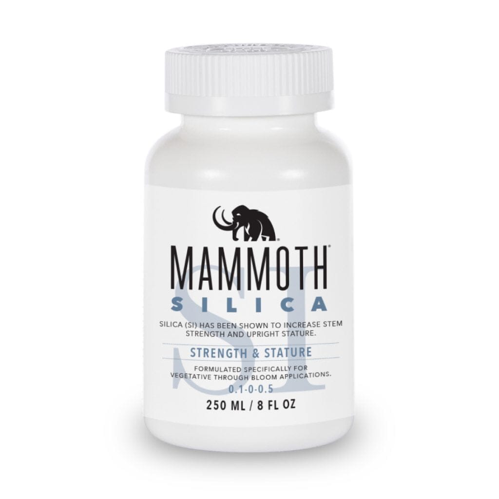 Mammoth Silica - Quick Bloom Lights