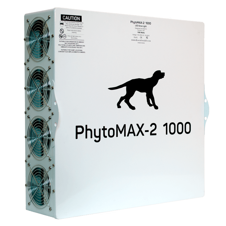 Black Dog Back Side phytomax-2 1000  