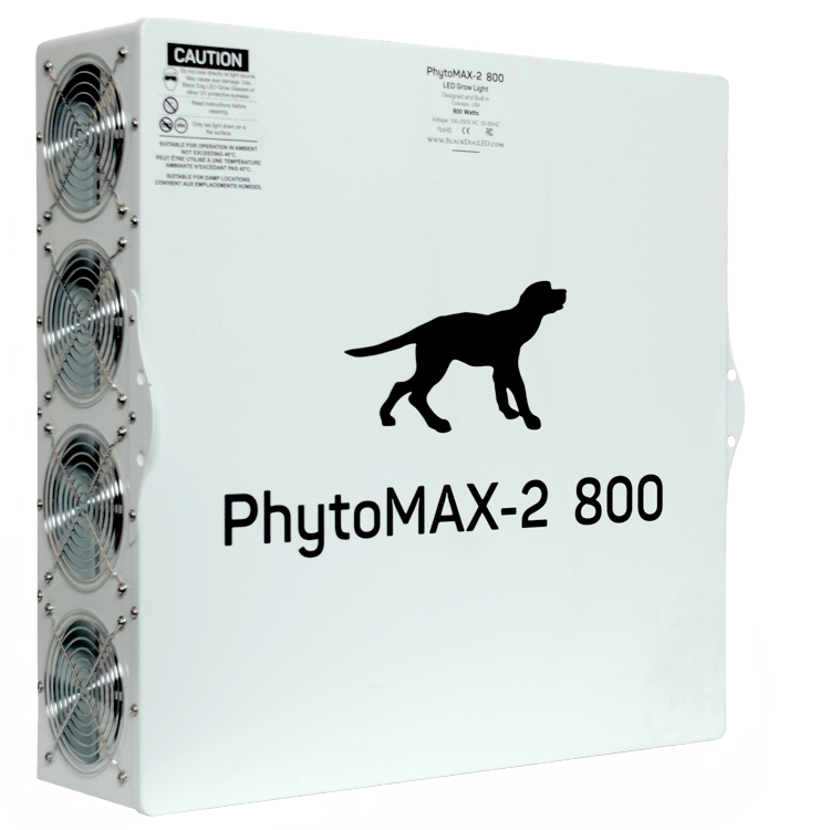 Black Dog Back side phytomax-2 800 