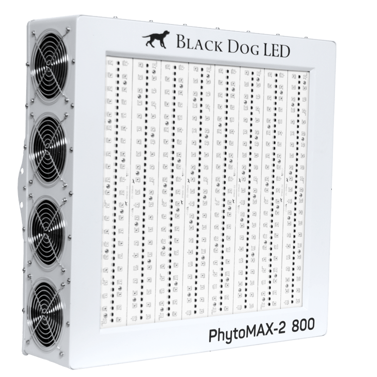 Black Dog front view phytomax-2 800 Front view