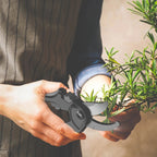 Stainless Steel Pruning Shear, 8” Bypass Blades - Quick Bloom Lights