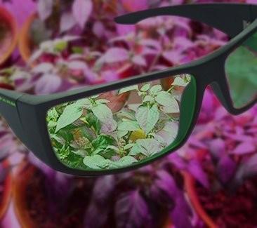 Unit Farm LED Grow Glasses